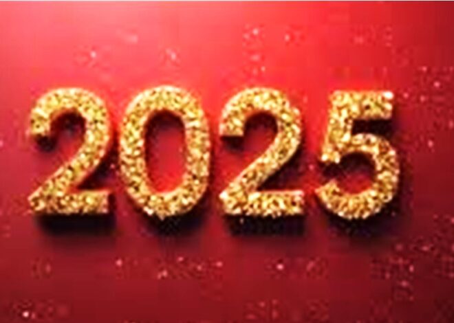 L’ACCUEIL FAIT A LA NOUVELLE ANNEE 2025